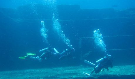 Diving at Yonaguni